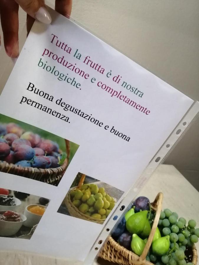 סונדריו Casa Vacanze La Ca Del Cunfec מראה חיצוני תמונה